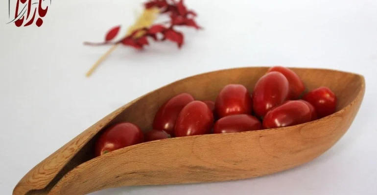 online-wooden-dish-course-1